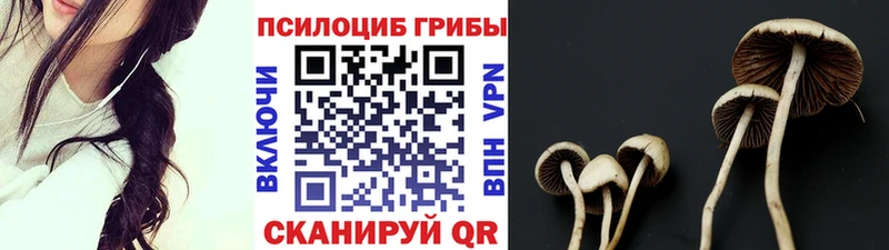 Галлюциногенные грибы ЛСД  Котовск 